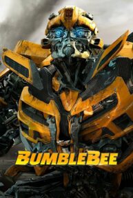 Bumblebee poster hd