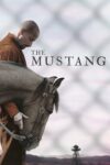 Image Mustang: La rehabilitación