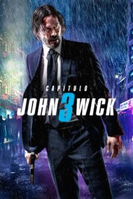 john 3 wick poster scaled