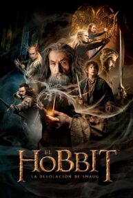 el hobbit la desolacion de smaug 5310 poster