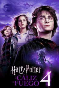 Harry Potter y el cáliz de fuego - PelisForte