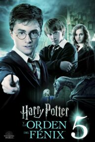 Harry Potter y la orden del Fénix - PelisForte