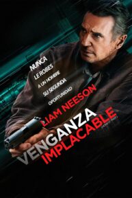 venganza implacable 10634 poster