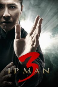 ip man 3 10924 poster scaled