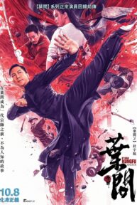 ip man el maestro del kung fu 10899 poster