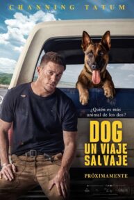 Dog: Un Viaje Salvaje - PelisForte